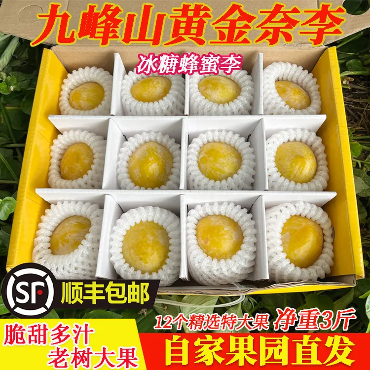 顺丰礼盒装精选特大果九峰山黄金奈李冰糖蜂蜜李爽口脆甜多汁送礼