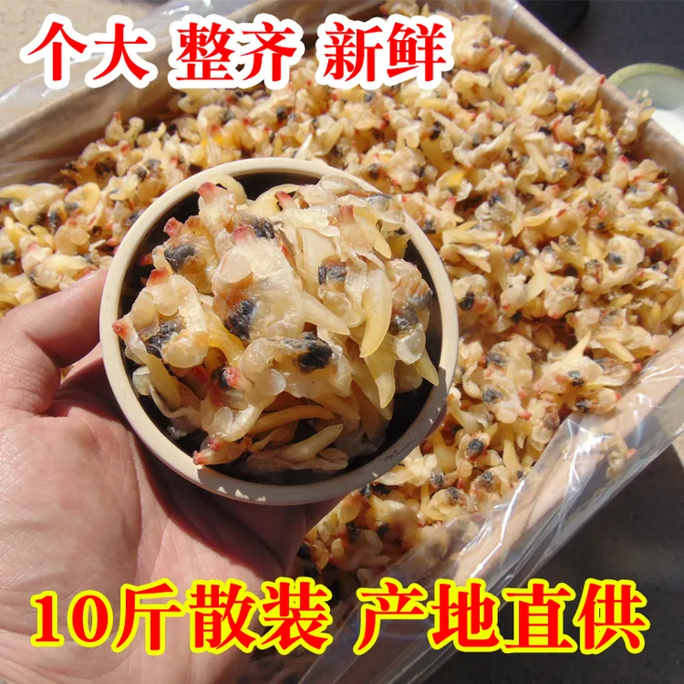 【10斤/箱】花甲肉干蛤蜊干蚬子干海鲜干货新鲜大号粥汤商用整箱