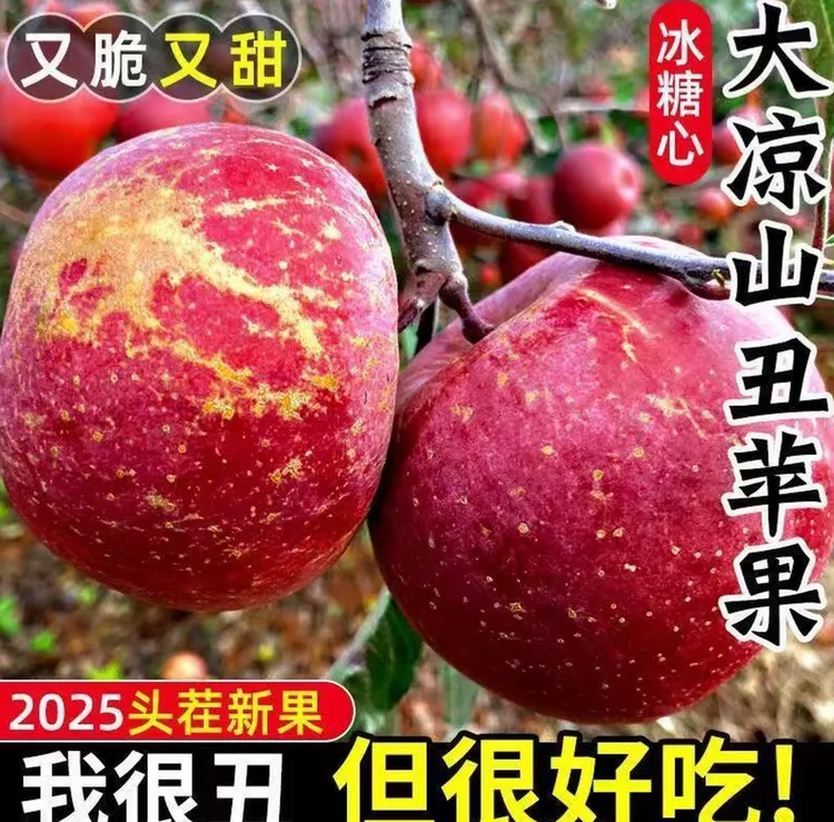  【坏果包赔】四川大凉山冰糖心丑苹果新鲜红富士苹果新鲜应季水果