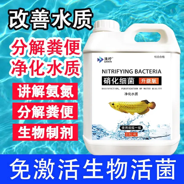 硝化细菌鱼缸净化水质分解氨氮水质清澈剂水族空气缸硝化菌