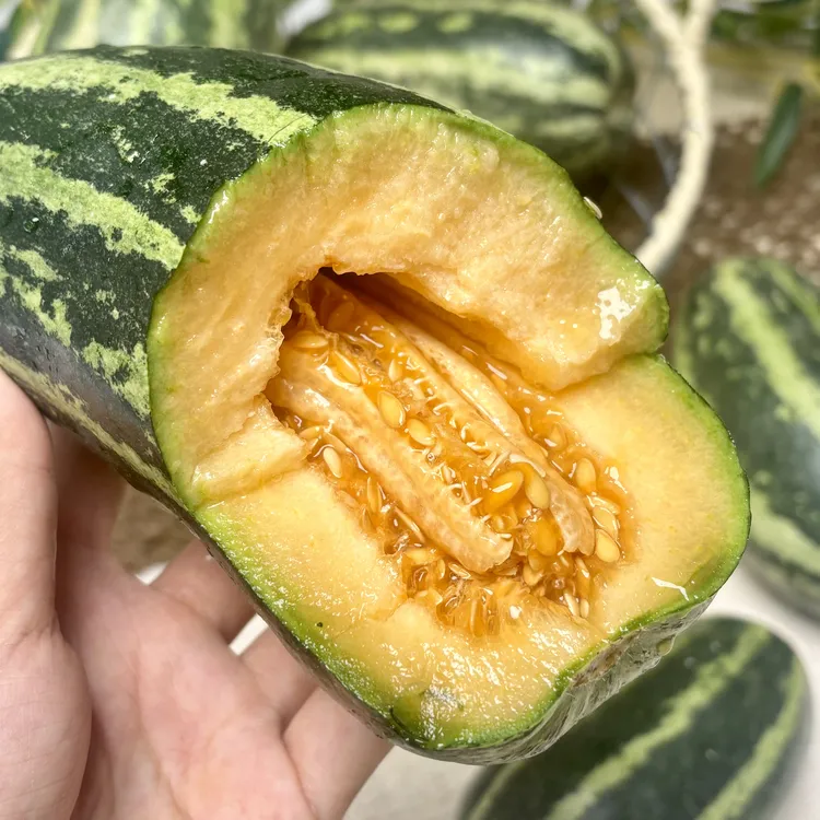 酥蜜脆瓜没有皮感清甜清脆好吃不腻甜瓜香瓜蜜瓜云南产区顺丰到家