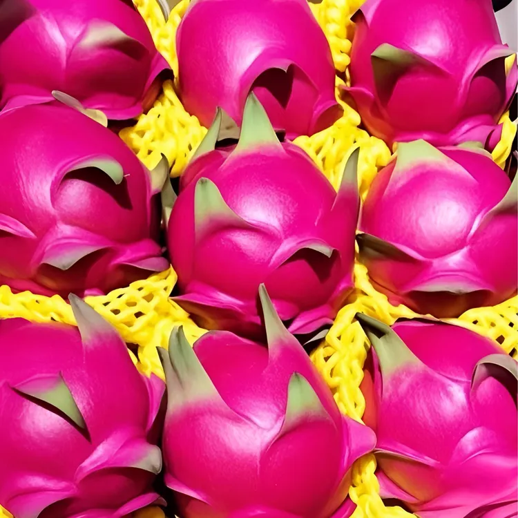 红心火龙果纯甜拌牛奶酸奶吃新鲜现摘树上熟孕妈水果 包邮 水果捞