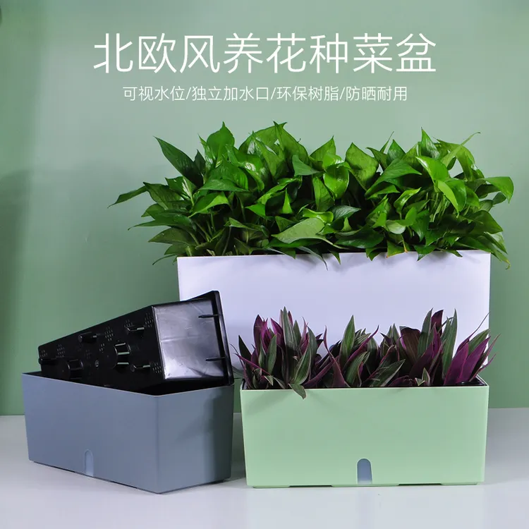 长方形自动吸水懒人花盆阳台种菜盆北欧简约风绿萝月季水培种植盆