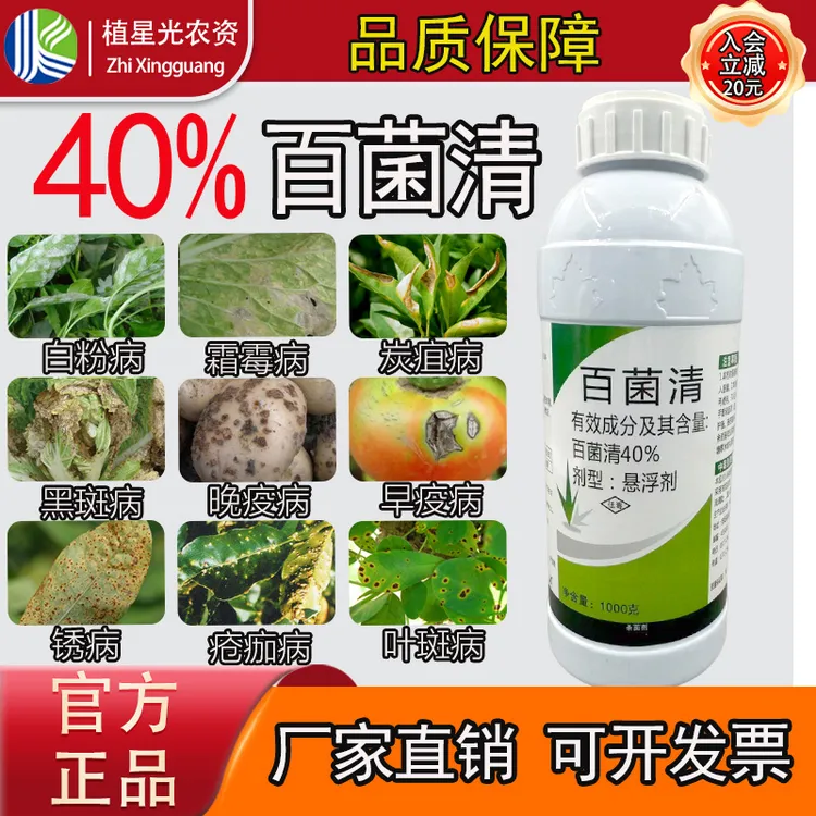 40%百菌清霜霉炭疽大小斑病锈病真菌柑橘黄瓜番茄作物杀菌剂