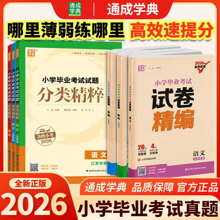 小学毕业考试试题分类精粹试卷精编小升初语文数学英语知识复习