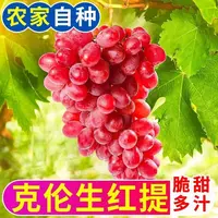 【顺丰到家】克伦生无籽红提甜香脆提子葡萄新鲜水果当季生鲜