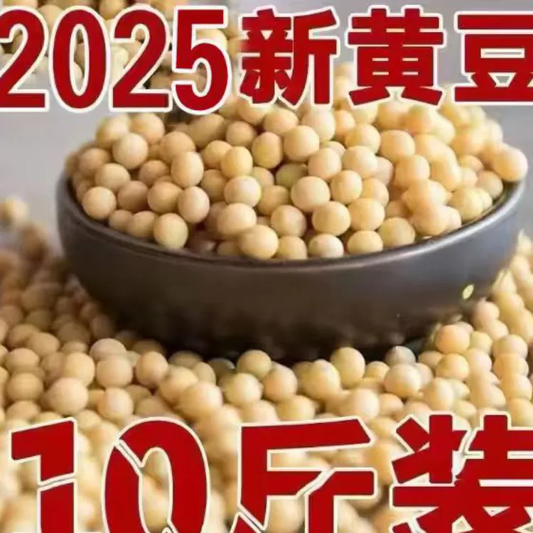 2025年新黄豆东北非转基因黄豆打豆浆生豆芽大豆豆香浓郁新豆大豆