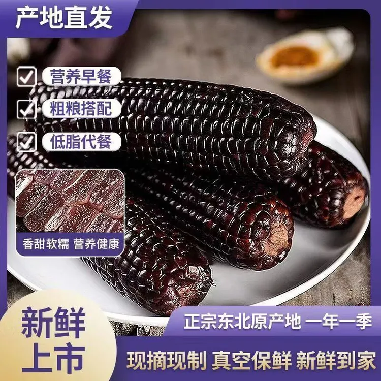 【10只 整箱净重 4-4.5斤】2025新货小棒黑糯玉米 轻食代餐黏糯玉米