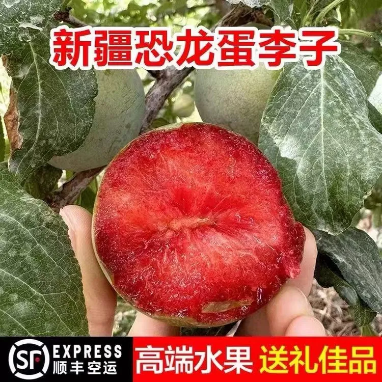 新疆恐龙蛋李子新鲜应季水果脆甜多汁夏日美味之选