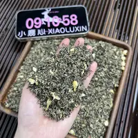 ①茉莉飘雪  小鹿收茶茉莉绿茶 横县茉莉花  9月17