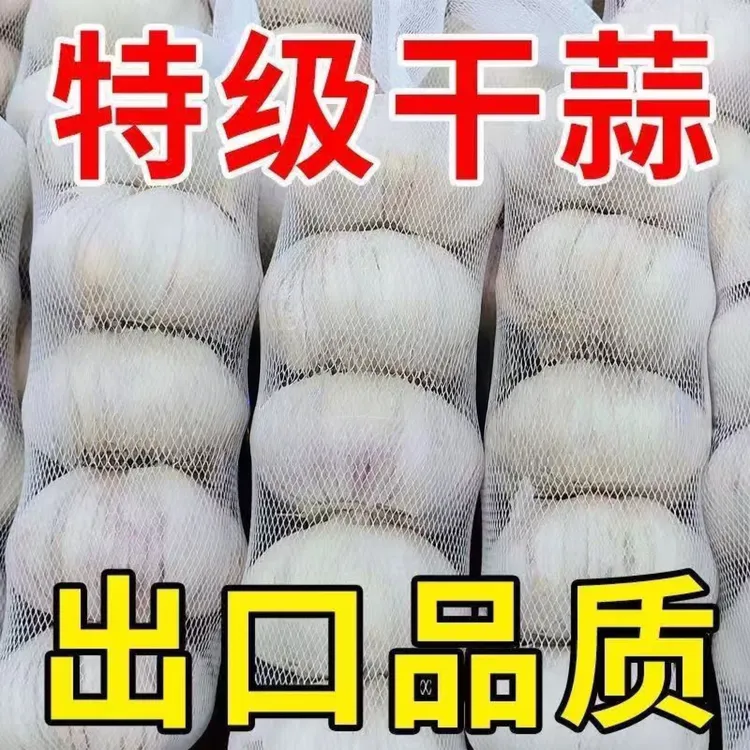 【新店冲量5000箱】2025新干蒜特级干蒜出口标准金乡蒜王网兜条装