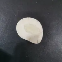 猛犸虬饼子kk842