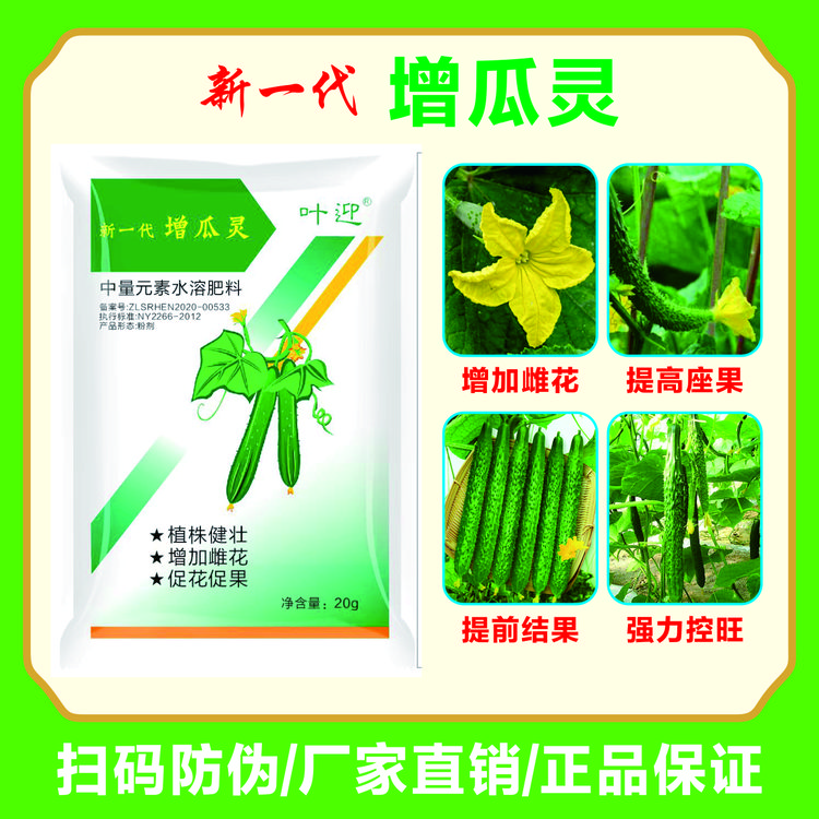 增瓜灵黄瓜苦瓜专用增产剂雄花变雌花提高座果率大量元素水溶肥料