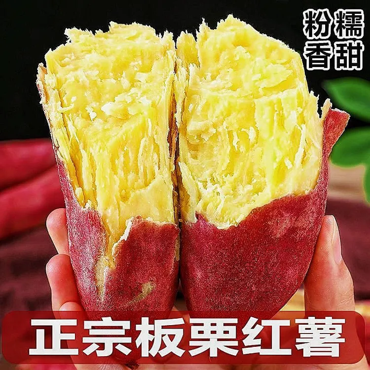 陕西临潼正宗新鲜板栗红薯粉糯香甜干面粉甜减脂烤地瓜沙地番薯