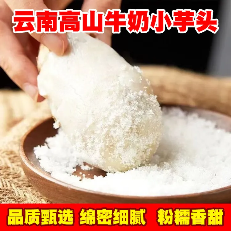 现挖芋头云南新鲜牛奶小芋头9斤毛芋头香芋应季芋头芋艿粉糯包邮