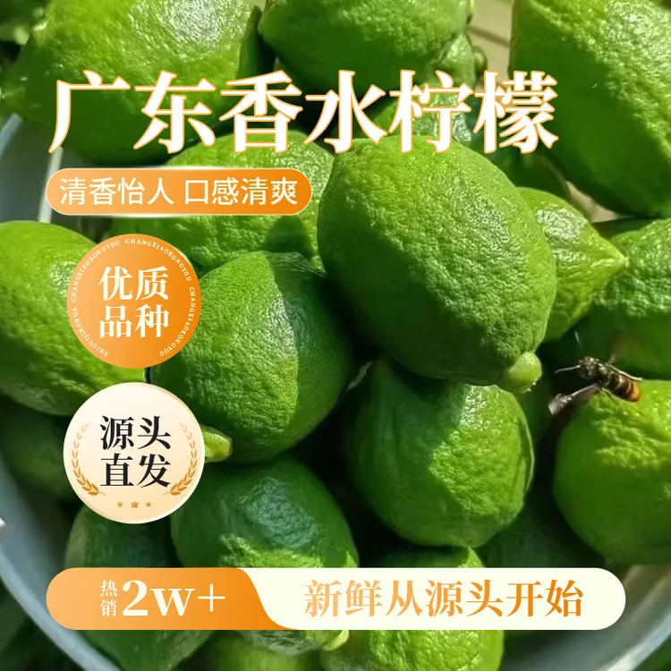 【广东绿香水柠檬】香气浓郁新鲜采摘手打柠檬茶泡水泡茶原料水果