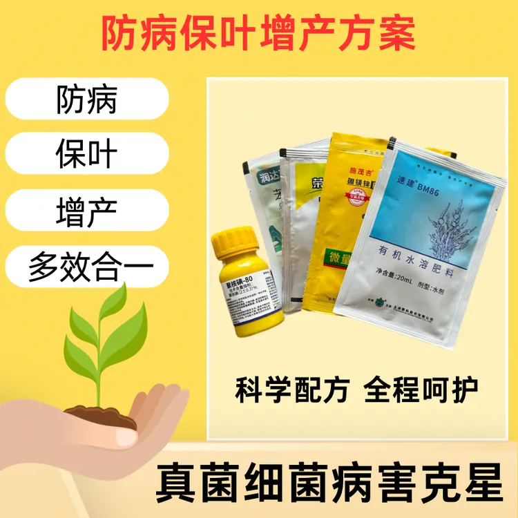 1套1桶水 瓜豆真菌细菌叶面肥（5合1）组合套餐 