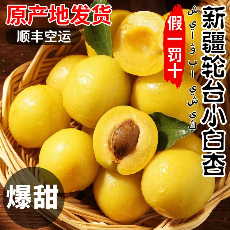 新疆轮台小白杏新鲜当季水果爆汁产地直发正宗新疆轮台小白杏
