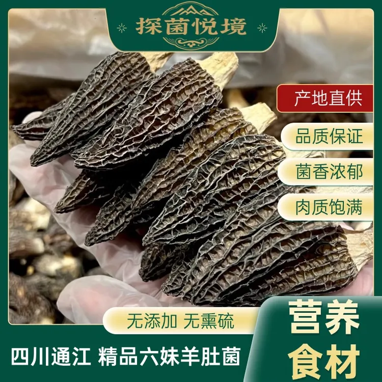 精选无熏硫【六妹羊肚菌】菌菇干货 新鲜菌菇肉厚 菌香浓郁营养[BY]