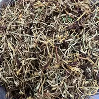 味蒲鲜推荐 云南山上采摘金银花自然晒干散装农产品