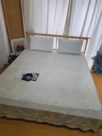 百支彩缎印花床单245*250微瑕～F818