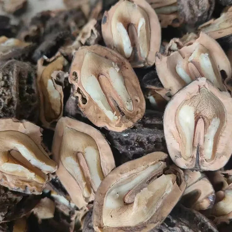 东北野生山核桃仁（特等新仁）