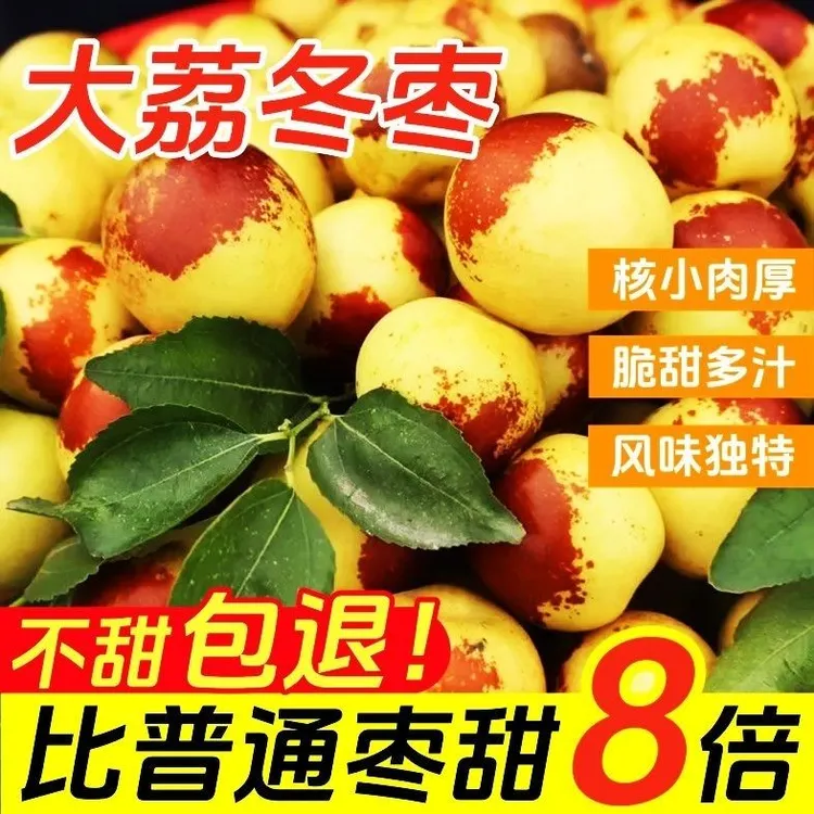陕西大荔头茬冬枣产地直发新鲜脆甜当季水果