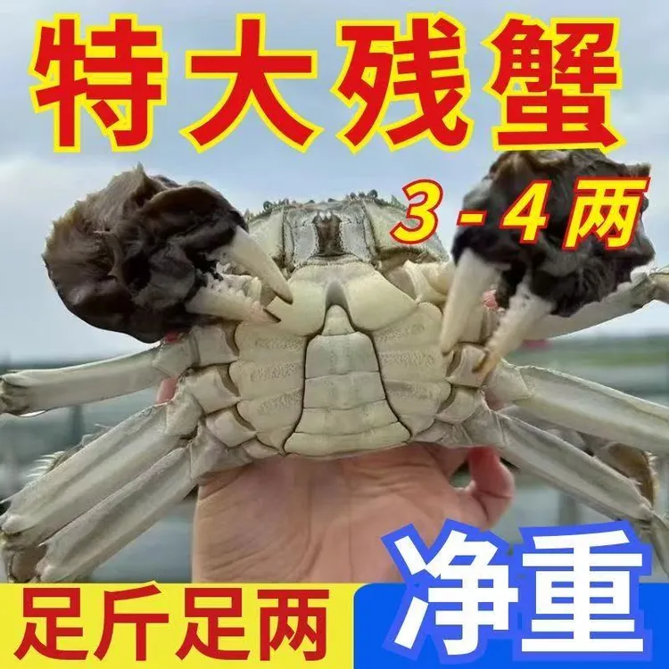 【活蟹】江苏大闸蟹缺腿公蟹3-6两/只3斤装4斤装