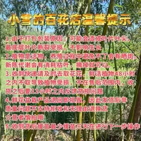 福袋花花绿植随机