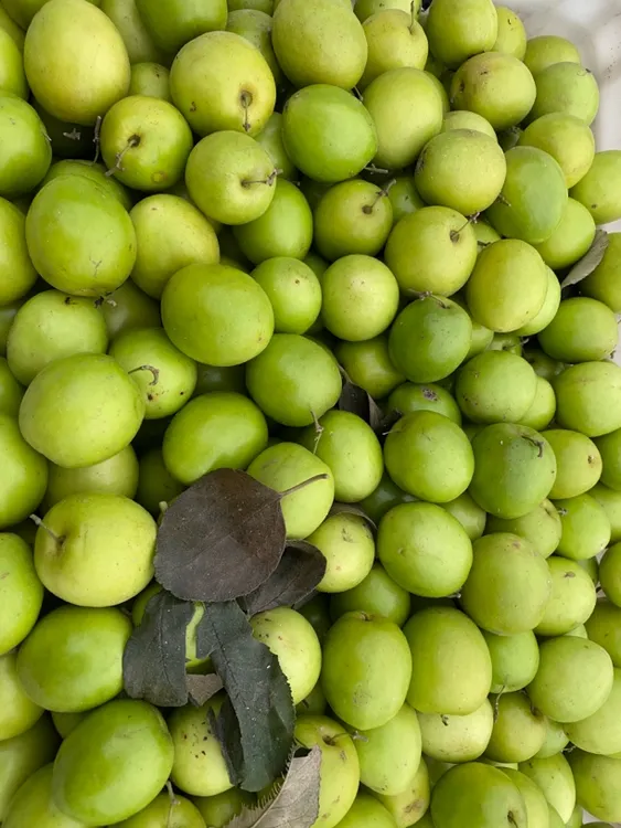 清脆好吃的牛奶枣