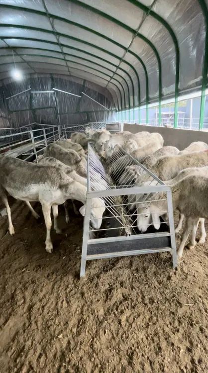 新型双面多功能羊槽加厚全新输送带制作食槽