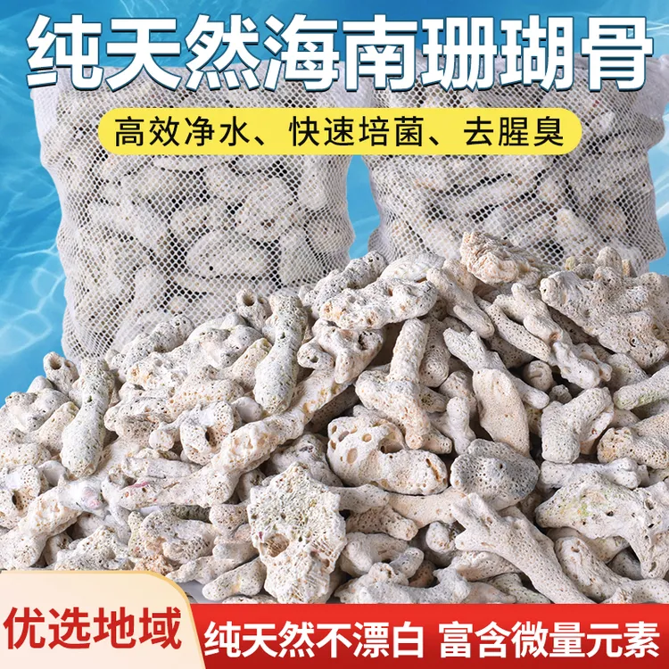 天然珊瑚骨滤材鱼缸过滤滤材鱼池海鲜池水族养殖过滤造景珊瑚沙