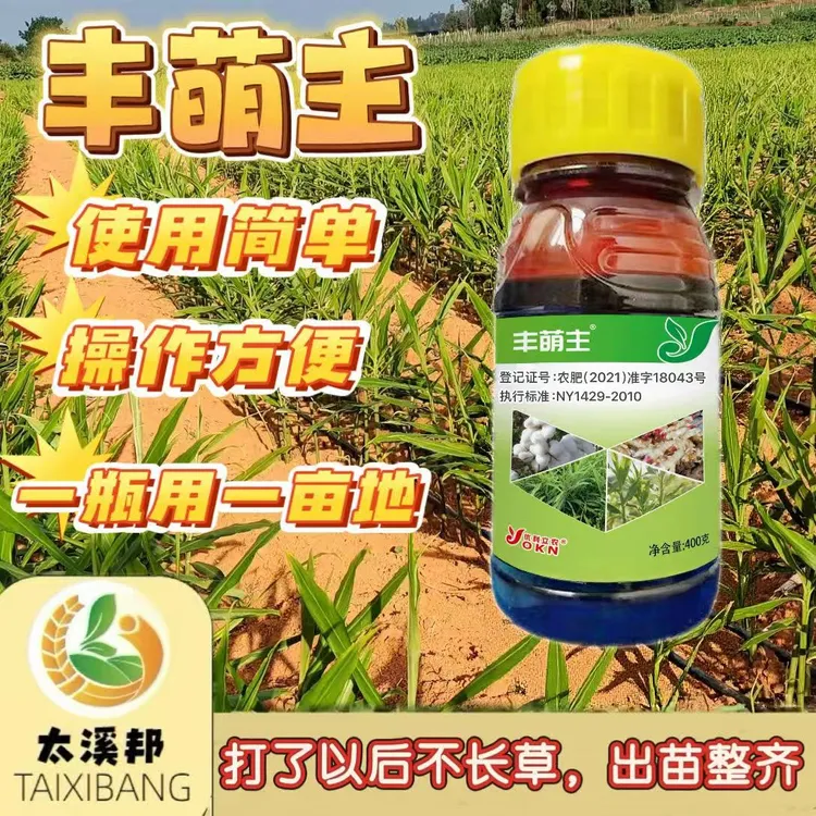 丰萌主 生姜种植下去后用 一瓶可用一亩地