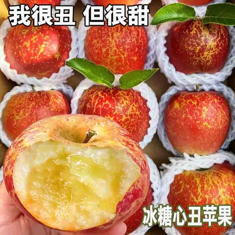 高山老品种正宗冰糖心丑苹果云南昭通产地直邮当季现摘新鲜水果