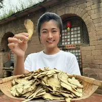 （林林）【头片精品当归】手工挑选 煲汤泡茶味浓  家中常备爱家人