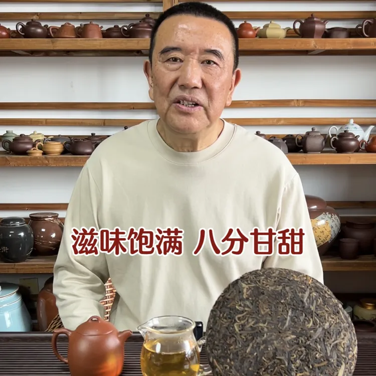 2009年350g勐宋曼加脚普洱生茶紧压茶