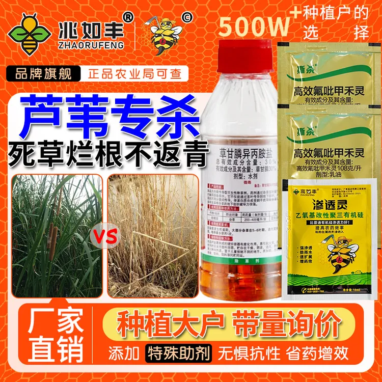 兆如丰芦苇专用除草剂灭除牛筋草茅草等恶性杂草果园田埂除草剂