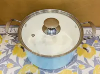 欧式汤锅小汤锅蓝色汤锅苹果汤锅