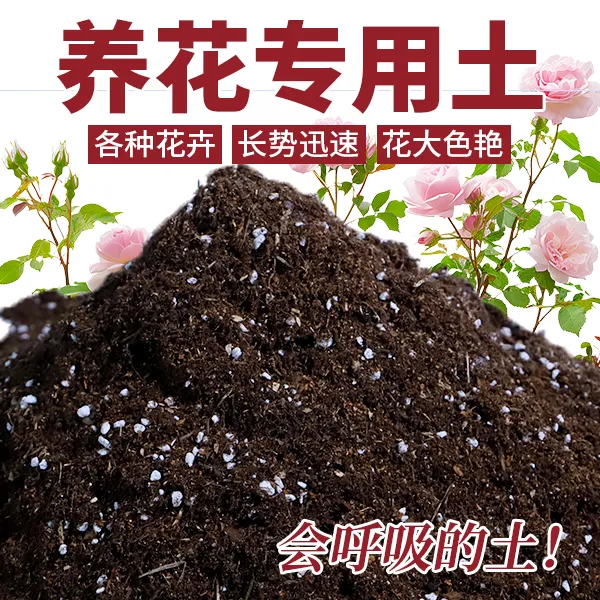 养兰花专用土育苗专用营养土花卉营养土月季专用营养土养花土土壤
