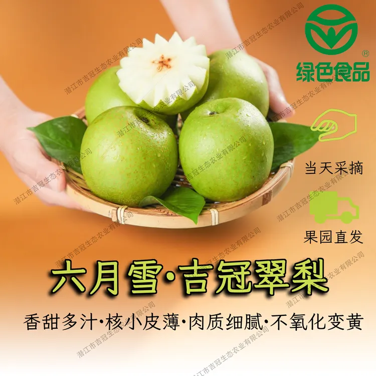 湖北潜江吉冠翠冠梨肉质细腻雪白现摘现发4.5-5斤