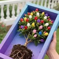 【底价】九里香树苗浓香型植物花卉耐寒阳台庭院盆栽地栽四季常青