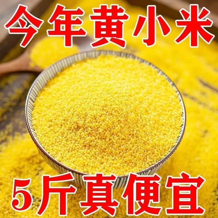 【2025年现磨新米】河北武安黄小米食品早餐熬粥米油优质杂粮
