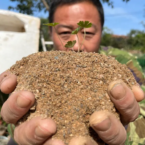 盆景基质河沙，大小颗粒混合，通用型透气滤水不板结。