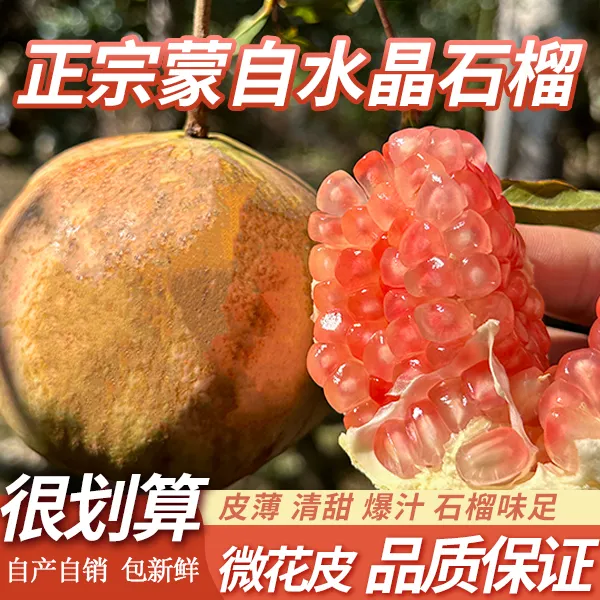 【福利价冲销量】蒙自正宗水晶石榴绿籽云南老品种硬籽清甜皮薄多汁