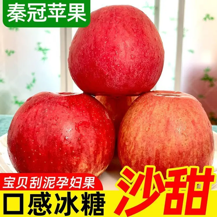 现摘秦冠苹果可脆可粉面沙甜当季新鲜水果老人宝宝刮泥冰糖心