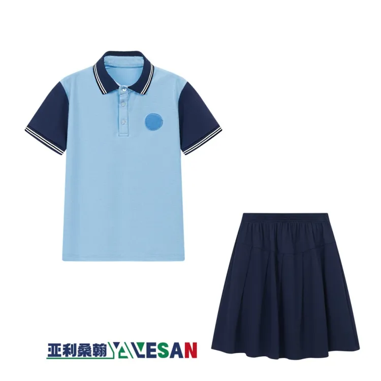 高新三中/青山湖/铁路一小丹霞绳金塔佛塔青新小学/南钢/T恤校服