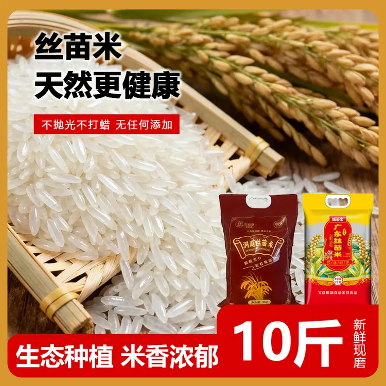 【25年丝苗新米】【试吃两斤】到手10斤 丝苗长粒香丝苗米优质新米 