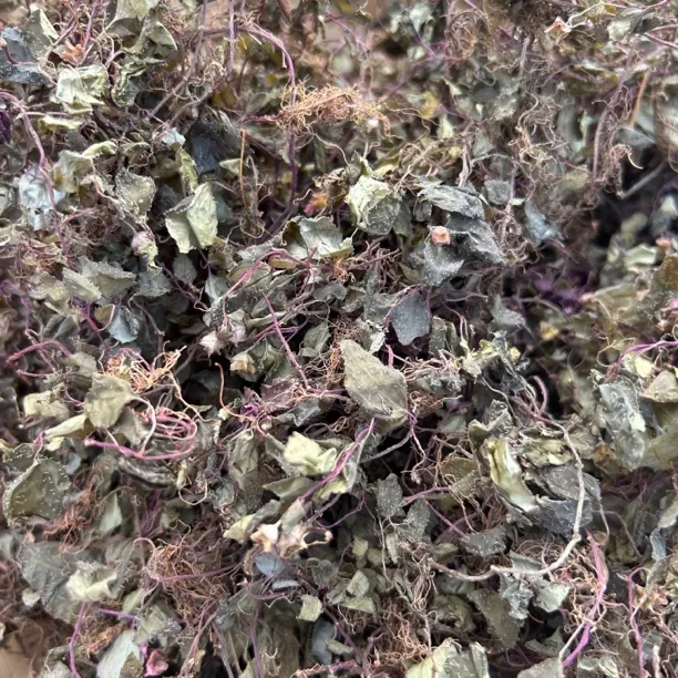 广西野生风谷草 风柜斗草 酸酸草干货食用农产品