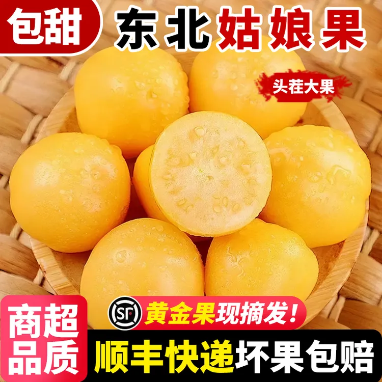 【顺丰快递】东北姑娘果头茬特产新鲜水果甜菇娘应季水果灯笼果