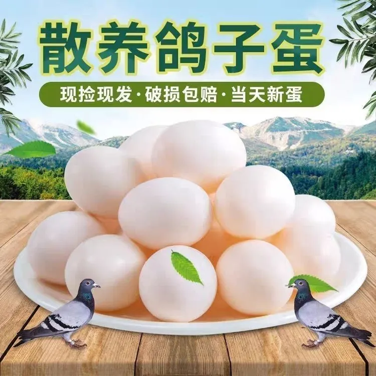 30只新鲜农家散养鸽子蛋草鸽蛋孕妇宝宝营养辅食20克/个